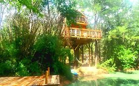 Waterfront Treehouse In A Magical Forest